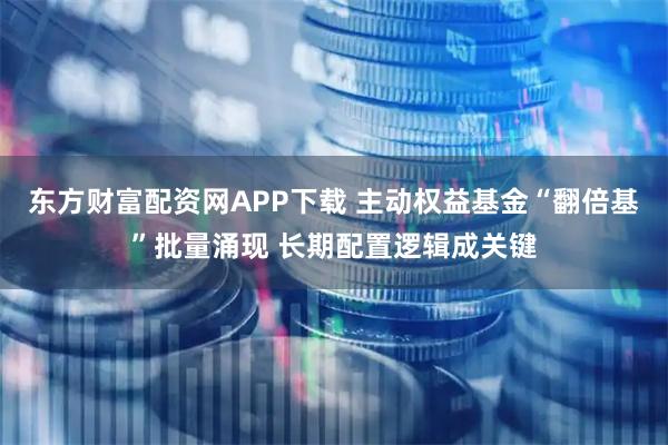 东方财富配资网APP下载 主动权益基金“翻倍基”批量涌现 长期配置逻辑成关键