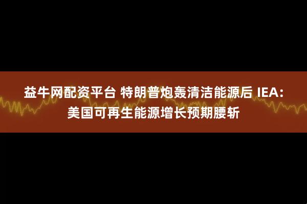 益牛网配资平台 特朗普炮轰清洁能源后 IEA：美国可再生能源增长预期腰斩
