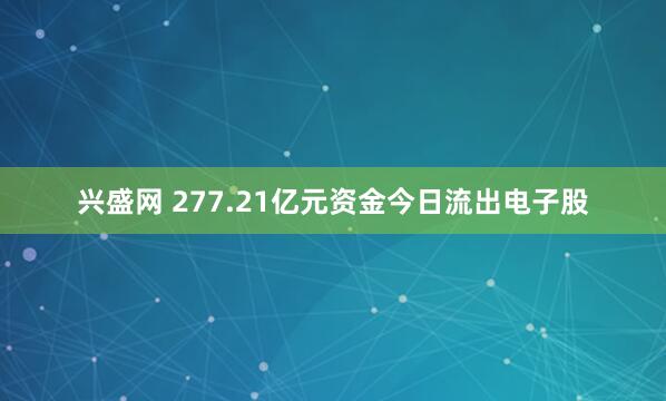 兴盛网 277.21亿元资金今日流出电子股